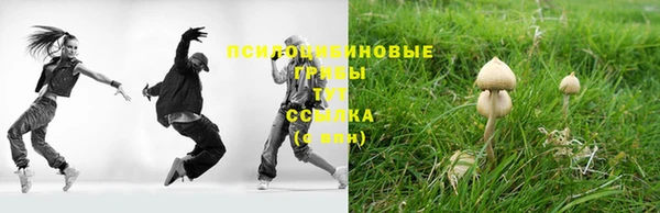 соль ск Коряжма