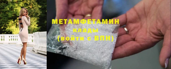трава Корсаков