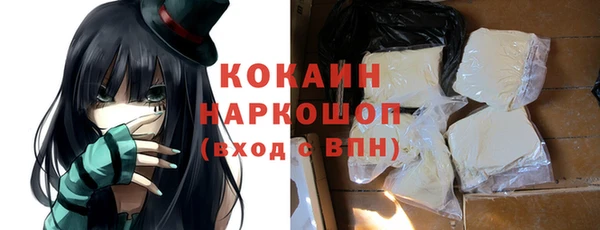 трава Корсаков