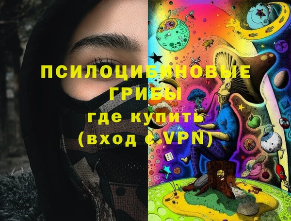 соль ск Коряжма
