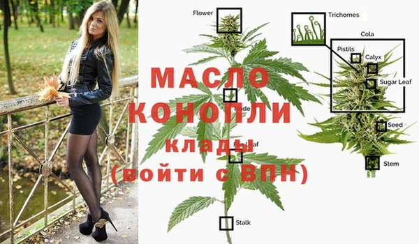 соль ск Коряжма