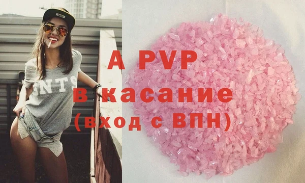 трава Корсаков