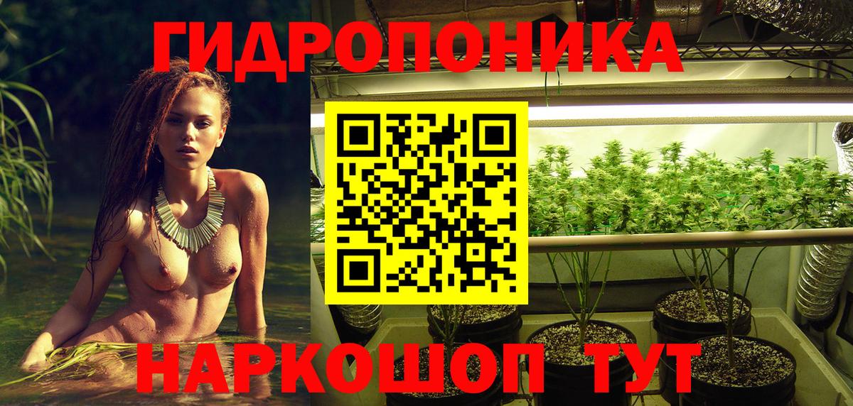 Дедовск  Каннабис план  Конопля ГИДРОПОН  Канабис сатива  Вход с VPN 